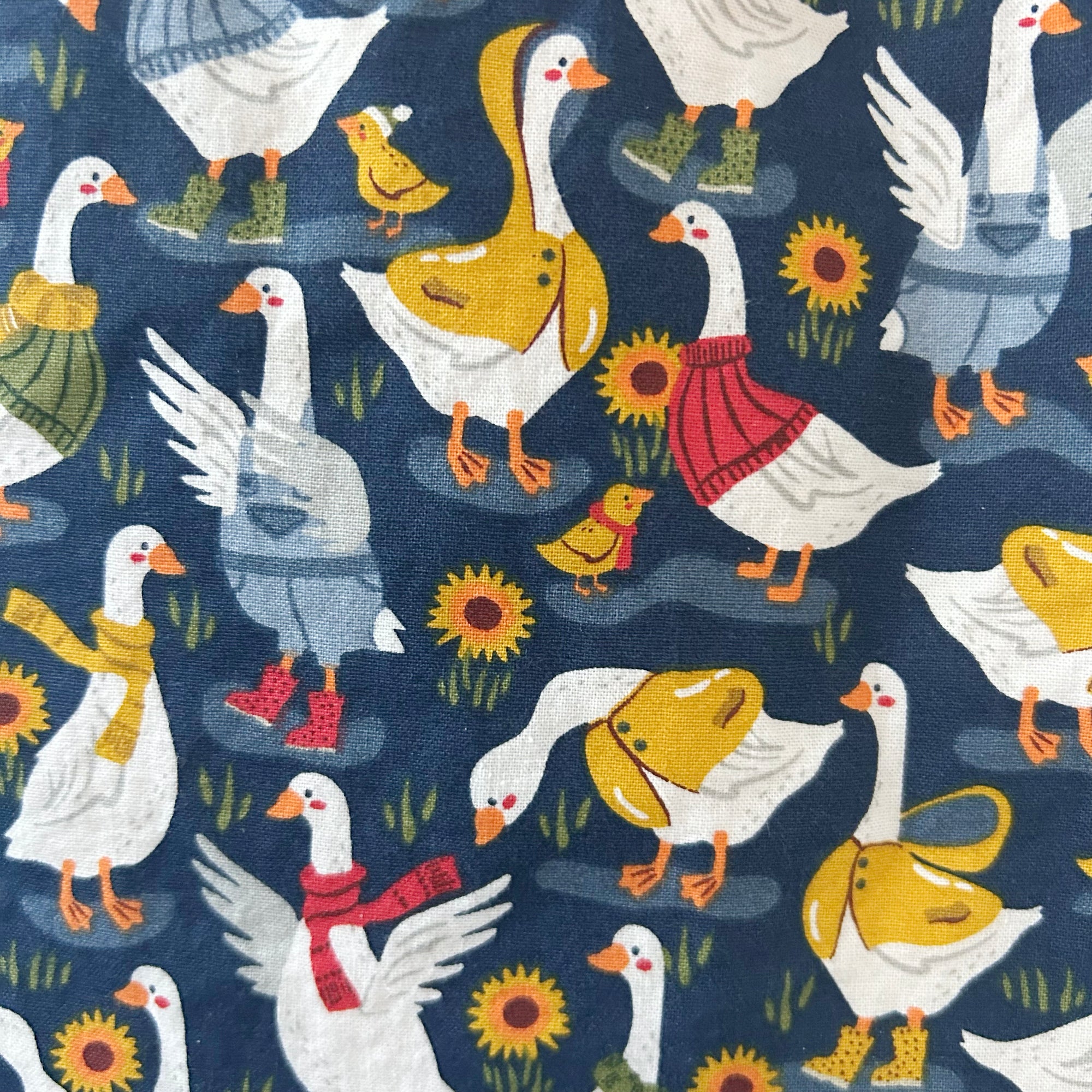 Silly Goose Baby Bib