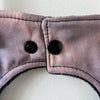 Colorado - The Mountains are Calling Baby Bib