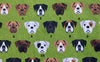 Boxer Can Cooler - 10 Dog Colors to Choose From!