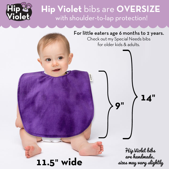 Garden of the Gods Baby Bib